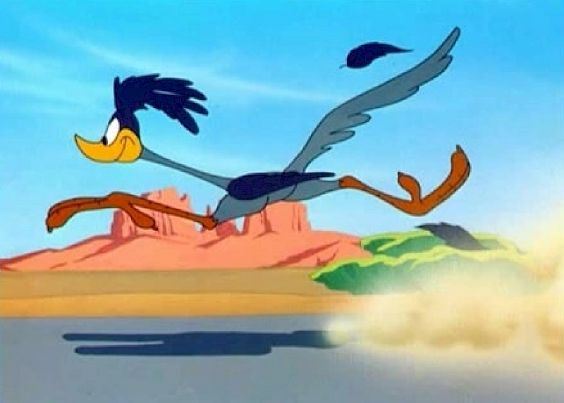 Road Runner bricht Geschwindigkeitsrekord!