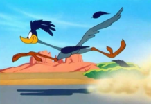 Road Runner bricht Geschwindigkeitsrekord!
